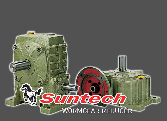 wormgear reducer